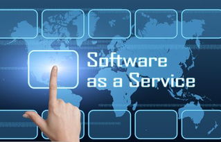 SaaS模式下的大數(shù)據(jù)服務(wù) 典型公司盤點(diǎn)與分析